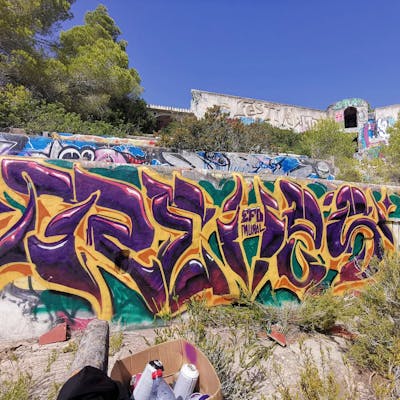 Violet and Beige and Colorful Stylewriting by Reves. This Graffiti is located in Ibiza, Spain and was created in 2023. This Graffiti can be described as Stylewriting and Abandoned.