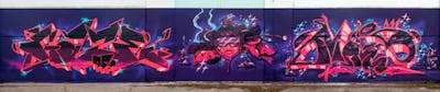 Violet and Red and Coralle Stylewriting by Malz, DRMLZ, Gaze95, TMV and NOVAS. This Graffiti is located in Dessau, Germany and was created in 2021. This Graffiti can be described as Stylewriting, Characters and Wall of Fame.