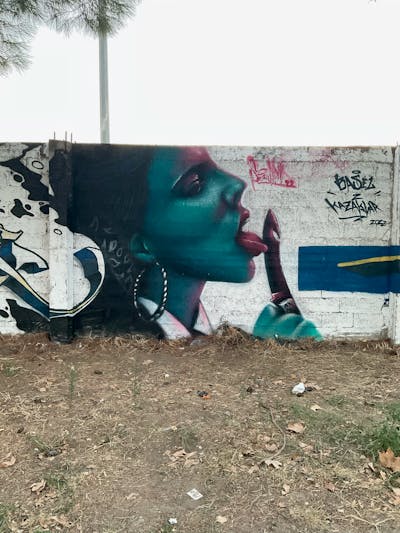 Cyan and Coralle Characters by serman. This Graffiti is located in Ambelonas, Greece and was created in 2022. This Graffiti can be described as Characters and Wall of Fame.