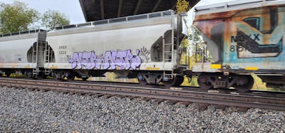 Violet Stylewriting by Altr. This Graffiti is located in United States and was created in 2023. This Graffiti can be described as Stylewriting, Trains and Freights.