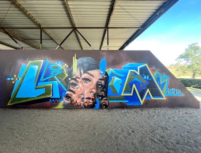 Light Blue and Colorful Stylewriting by Liam and Mister Oreo. This Graffiti is located in Meerbusch, Germany and was created in 2022. This Graffiti can be described as Stylewriting, Characters and Wall of Fame.