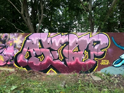 Violet and Coralle Stylewriting by Asco. This Graffiti is located in Döbeln, Germany and was created in 2021.