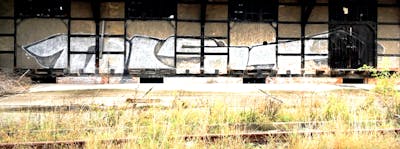 Chrome Stylewriting by Sefoe, urine, Kodak, kafor, Mekor, Dreck, Wahn and OST. This Graffiti is located in Delitzsch, Germany and was created in 2002.