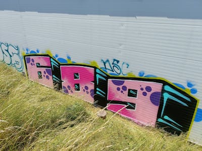 Coralle and Black Stylewriting by 689 and 689ers. This Graffiti is located in Germany and was created in 2023. This Graffiti can be described as Stylewriting and Street Bombing.