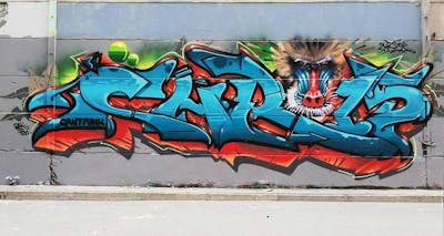Colorful Stylewriting by Chr15. This Graffiti is located in Glauchau, Germany and was created in 2019. This Graffiti can be described as Stylewriting, Characters and Wall of Fame.