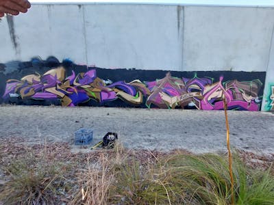 Violet and Colorful Stylewriting by TexR and OZAI. This Graffiti is located in Australia and was created in 2022.