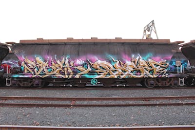 Beige and Colorful Stylewriting by Sbek and Basix. This Graffiti is located in Gold Coast, Australia and was created in 2016. This Graffiti can be described as Stylewriting and Trains.