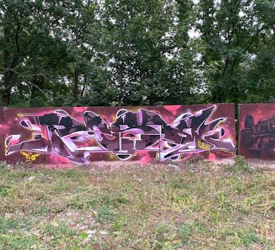 Violet Special by Posa. This Graffiti is located in Döbeln, Germany and was created in 2021. This Graffiti can be described as Special and Stylewriting.