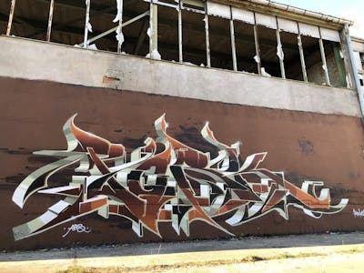 Brown Stylewriting by Pork. This Graffiti is located in Salzwedel, Germany and was created in 2018. This Graffiti can be described as Stylewriting and Abandoned.