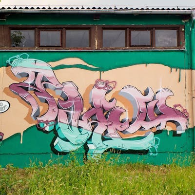 Beige and Light Green and Coralle Murals by Parle. This Graffiti is located in Radebeul, Germany and was created in 2022. This Graffiti can be described as Murals, Special and Stylewriting.