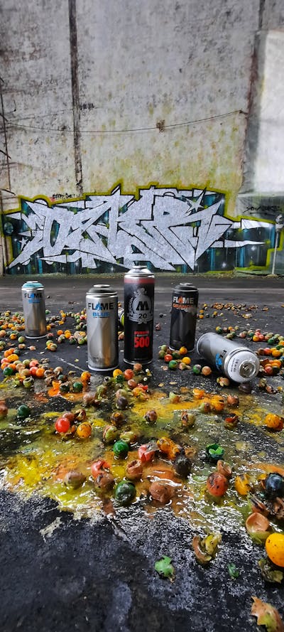 Chrome Stylewriting by Ozler. This Graffiti is located in Oschatz, Germany and was created in 2022. This Graffiti can be described as Stylewriting and Abandoned.