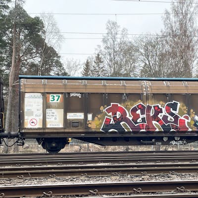 Brown and Red and White Stylewriting by REKS. This Graffiti is located in Italy and was created in 2023. This Graffiti can be described as Stylewriting, Freights, Trains and Atmosphere.