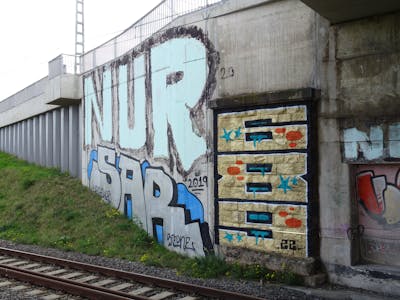Colorful Stylewriting by 689, 689ers, NUR and SAR. This Graffiti is located in coswig, Germany and was created in 2022. This Graffiti can be described as Stylewriting and Line Bombing.