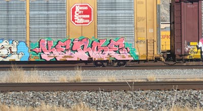 Coralle Stylewriting by Kerse. This Graffiti is located in United States and was created in 2024. This Graffiti can be described as Stylewriting, Trains and Freights.