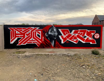 Red and Grey Stylewriting by Hyro and Tets. This Graffiti is located in Leeds, United Kingdom and was created in 2022. This Graffiti can be described as Stylewriting, Characters and Abandoned.