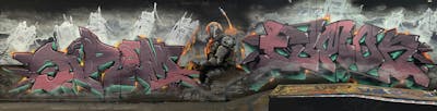 Grey and Coralle Stylewriting by Sirom and Fumok. This Graffiti is located in Döbeln, Germany and was created in 2022. This Graffiti can be described as Stylewriting, Characters and Murals.