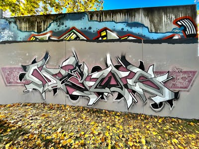 Grey and Coralle Stylewriting by News. This Graffiti is located in Regensburg, Germany and was created in 2023. This Graffiti can be described as Stylewriting and Wall of Fame.