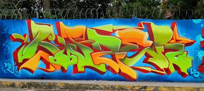 Light Green and Orange and Light Blue Stylewriting by Buser. This Graffiti is located in COATZACOALCOS, Mexico and was created in 2023.