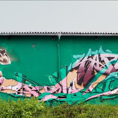 Beige and Light Green and Coralle Murals by Randy. This Graffiti is located in Radebeul, Germany and was created in 2022. This Graffiti can be described as Murals, Special and Stylewriting.