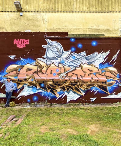Colorful Stylewriting by Raitz. This Graffiti is located in Germany and was created in 2022. This Graffiti can be described as Stylewriting and Characters.