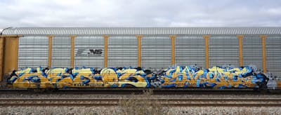 Blue and Beige Stylewriting by S.KAPE289, HEROS and HEROK. This Graffiti is located in Mexico and was created in 2016. This Graffiti can be described as Stylewriting, Trains and Freights.