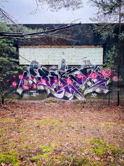 Violet and Grey and Black Stylewriting by Raitz. This Graffiti is located in Germany and was created in 2023. This Graffiti can be described as Stylewriting and Abandoned.