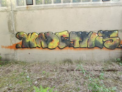 Grey and Yellow Stylewriting by Twis and wade. This Graffiti is located in Leipzig, Germany and was created in 2021. This Graffiti can be described as Stylewriting, Handstyles and Abandoned.