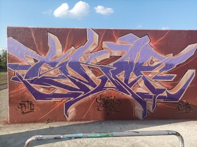 Brown and Violet Stylewriting by Skaf. This Graffiti is located in Wolfen Nord, Germany and was created in 2022. This Graffiti can be described as Stylewriting and Wall of Fame.
