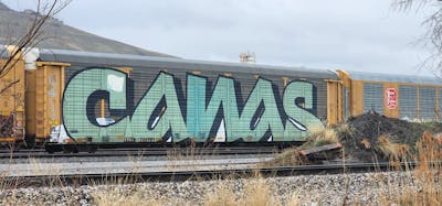 Light Green Stylewriting by Canas. This Graffiti is located in United States and was created in 2024. This Graffiti can be described as Stylewriting, Trains, Wholecars and Freights.
