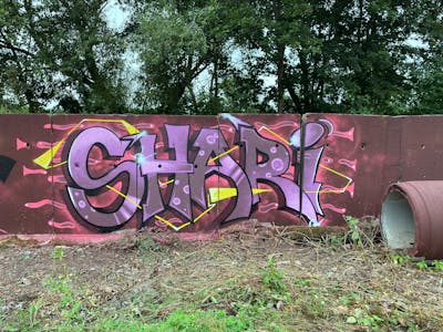 Violet and Colorful Special by Shari. This Graffiti is located in Döbeln, Germany and was created in 2021. This Graffiti can be described as Special and Stylewriting.