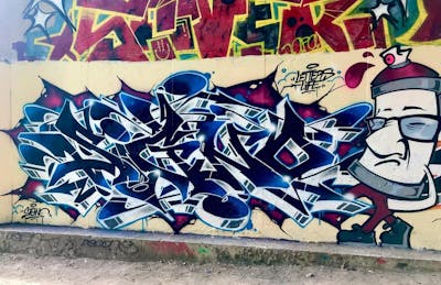Colorful Stylewriting by Signo. This Graffiti is located in France and was created in 2022. This Graffiti can be described as Stylewriting, Characters and Wall of Fame.