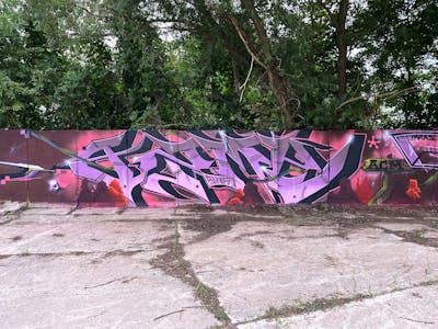 Violet and Coralle Special by AZME. This Graffiti is located in Döbeln, Germany and was created in 2021. This Graffiti can be described as Special and Stylewriting.