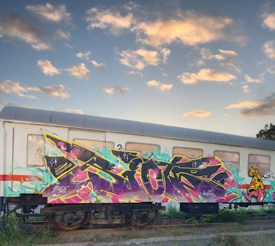 Colorful Stylewriting by Riots. This Graffiti is located in Jena, Germany and was created in 2022. This Graffiti can be described as Stylewriting, Trains, Characters, Freights and Wall of Fame.