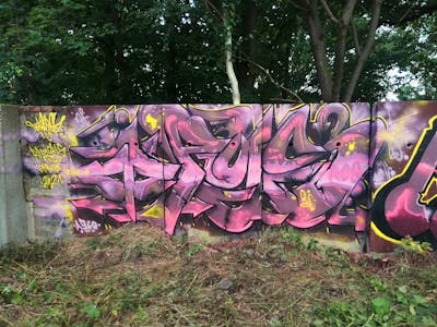 Violet and Coralle Stylewriting by Opys. This Graffiti is located in Döbeln, Germany and was created in 2021. This Graffiti can be described as Stylewriting and Special.