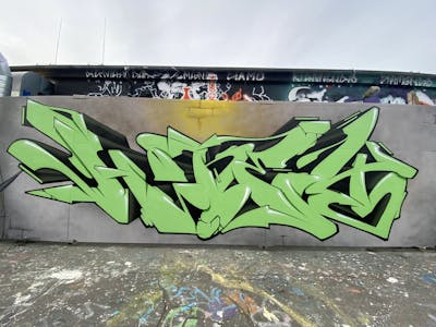 Light Green Stylewriting by HONEY. This Graffiti is located in Potsdam, Germany and was created in 2022. This Graffiti can be described as Stylewriting and Wall of Fame.