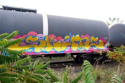 Yellow and Coralle and Light Blue Stylewriting by S.KAPE289 and Skape289. This Graffiti is located in Germany and was created in 2020. This Graffiti can be described as Stylewriting, Trains and Freights.