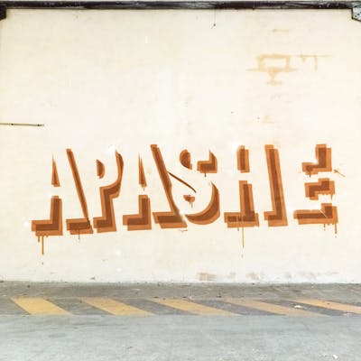 Brown Stylewriting by apashe. This Graffiti is located in Marseille, France and was created in 2022. This Graffiti can be described as Stylewriting, Streetart and Abandoned.