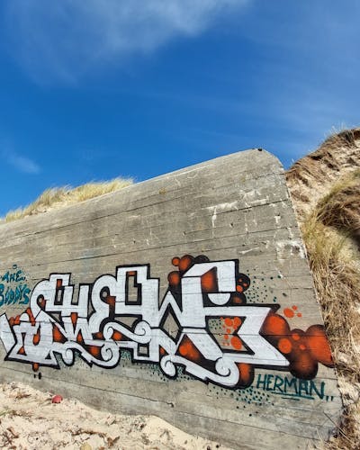 White and Orange Stylewriting by Shew and the Buddys. This Graffiti is located in Strausberg, Germany and was created in 2022.