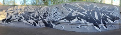 Grey and White Stylewriting by Riots, Kasimir and Wok. This Graffiti is located in Gräfenhainichen, Germany and was created in 2023. This Graffiti can be described as Stylewriting and Characters.