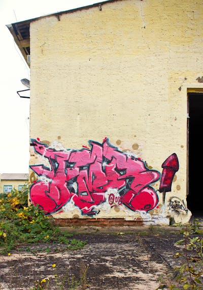 Coralle Stylewriting by FMR. This Graffiti is located in Delitzsch, Germany and was created in 2016. This Graffiti can be described as Stylewriting and Abandoned.