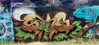 Colorful Stylewriting by SXNS. This Graffiti is located in Netherlands and was created in 2022. This Graffiti can be described as Stylewriting and Wall of Fame.