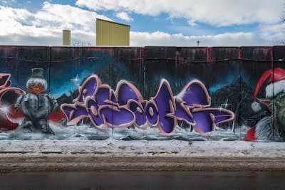 Violet and Coralle and Colorful Stylewriting by TMF and Posa. This Graffiti is located in Chemnitz, Germany and was created in 2023. This Graffiti can be described as Stylewriting and Characters.