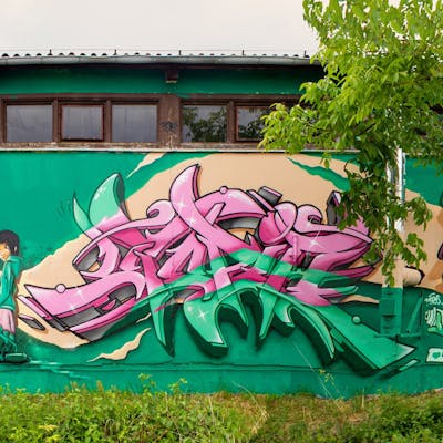 Beige and Light Green and Coralle Murals by Utopia. This Graffiti is located in Radebeul, Germany and was created in 2022. This Graffiti can be described as Murals, Special and Stylewriting.