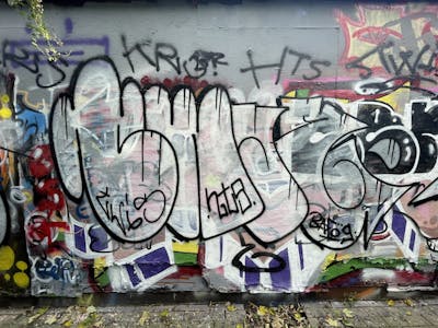 White Throw Up by Twis. This Graffiti is located in Germany and was created in 2024.