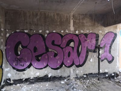 Violet Stylewriting by CesarOne.SNC. This Graffiti is located in Germany and was created in 2018. This Graffiti can be described as Stylewriting and Abandoned.
