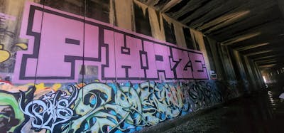 Coralle and Black Roll Up by Phaze. This Graffiti is located in United States and was created in 2023.