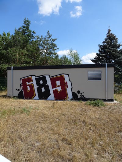 White and Brown and Black Stylewriting by 689 and 689ers. This Graffiti is located in coswig, Germany and was created in 2022. This Graffiti can be described as Stylewriting and Street Bombing.