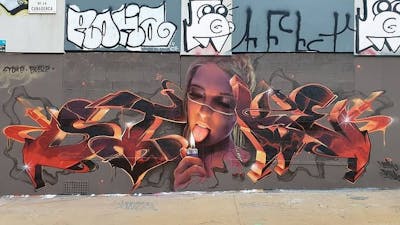Coralle and Red Stylewriting by Stoke and Bublegum. This Graffiti is located in Barcelona, Spain and was created in 2020. This Graffiti can be described as Stylewriting, Characters and Special.