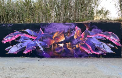 Violet and Coralle Stylewriting by Bublegum and Stoke. This Graffiti is located in Barcelona, Spain and was created in 2022. This Graffiti can be described as Stylewriting and Characters.