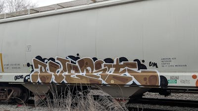 White and Brown and Black Stylewriting by OVERT. This Graffiti is located in United States and was created in 2023. This Graffiti can be described as Stylewriting, Freights and Trains.